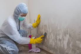 Best Industrial Mold Remediation  in Rose Hill, NC